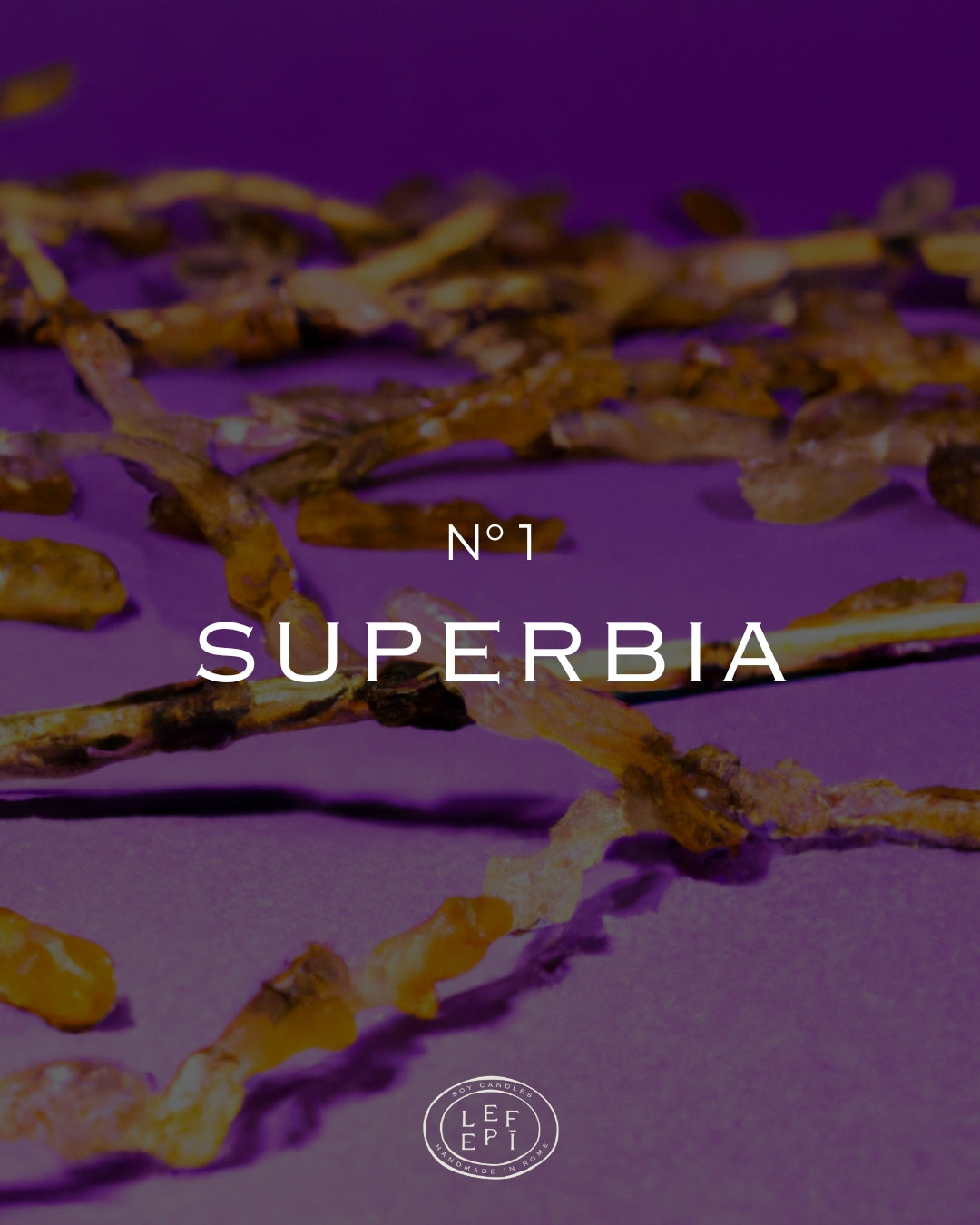 N° 1 | SUPERBIA