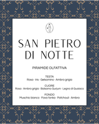 San Pietro di notte
